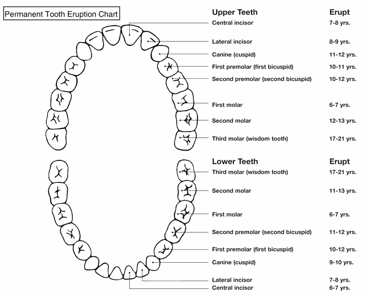 Important Info - Smile Bright Pediatric Dentistry